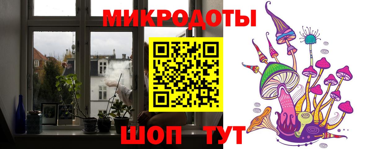 Галлюциногенные грибы Psilocybine cubensis  Галлюциногенные грибы мухоморы  Россия  Вход с VPN 