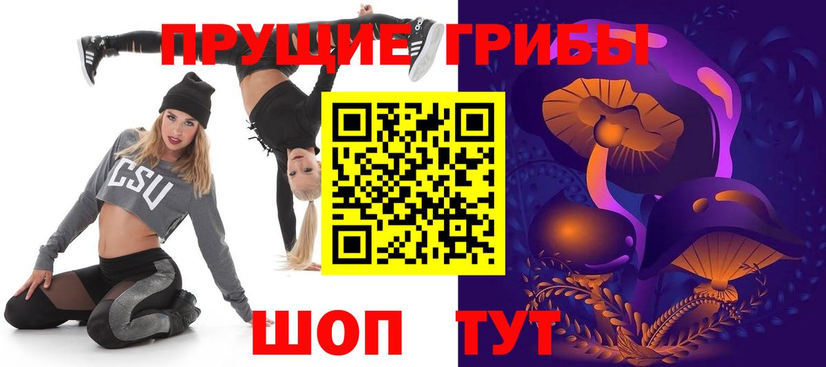 Галлюциногенные грибы Cubensis Россия